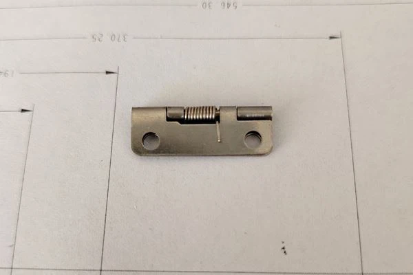Polished Small Hinges